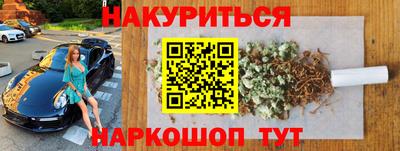 крисы Кунгур
