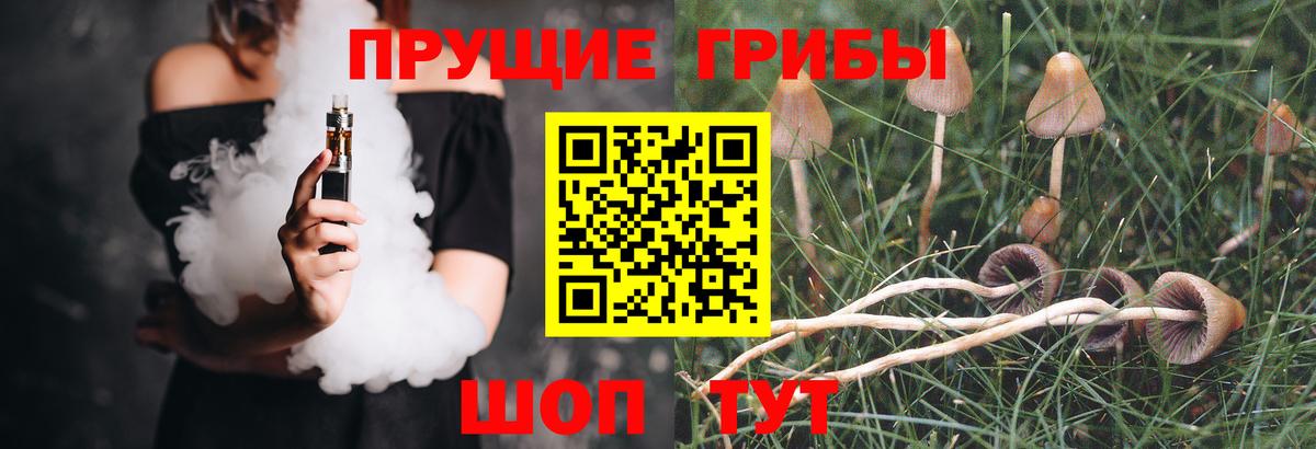купить наркотик  Вход с VPN  Чебаркуль  Псилоцибиновые грибы мицелий 